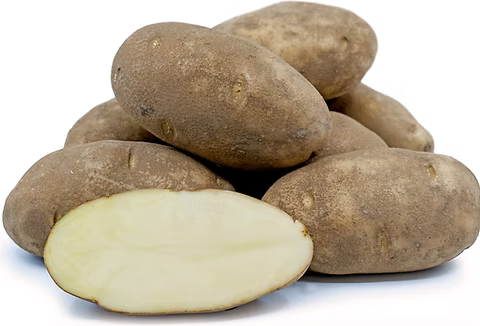 Winter Storage Un-Washed Russet Potatoes