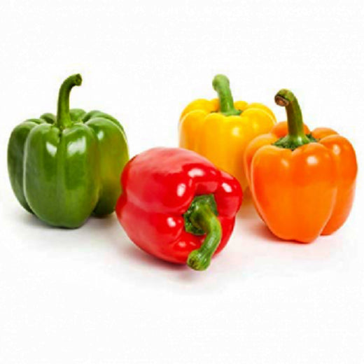 Mixed Coloured Peppers
