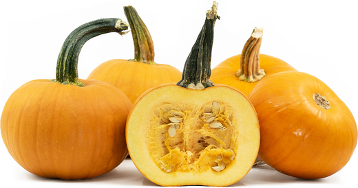Desert Hills Pumpkins