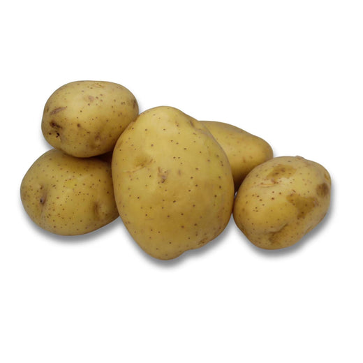 Winter Storage Un-Washed Yellow Potatoes