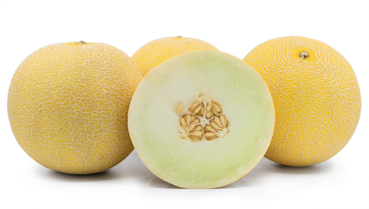 Galia Melon