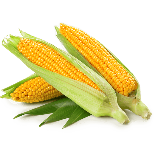 Corn