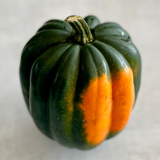 Winter Storage Accorn Squash