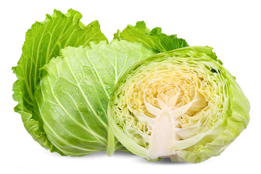 Winter Storage Cabbage