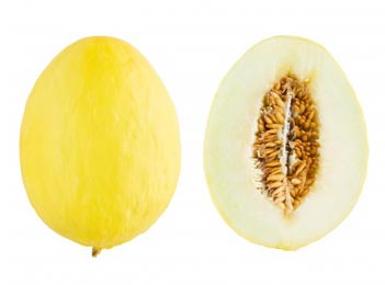 Canary Melons