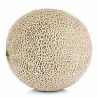 Large Cantaloupes
