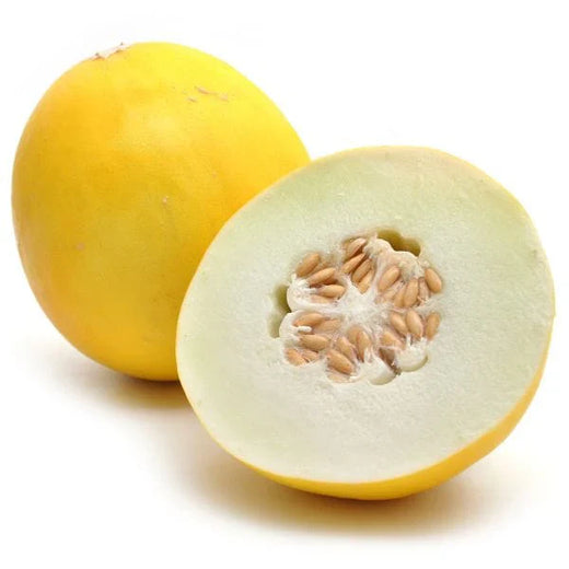 Golden Honey dew