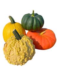 Desert Hills Specialty Pumpkins