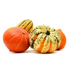 Winter Storage Mixed Squash