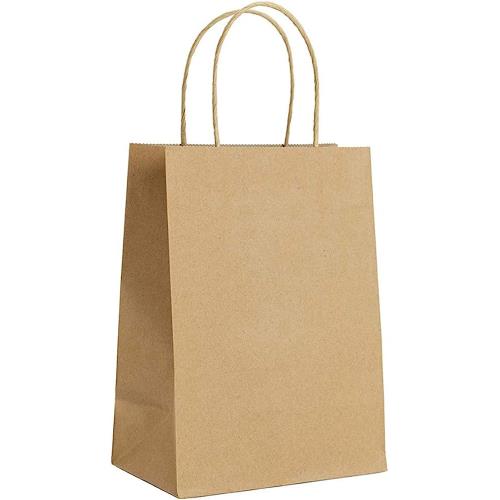 EcoSystems Kraft Paper Bag 10"X5"X13"